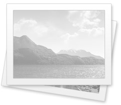 تیتر تیتر