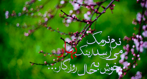 عکس روز